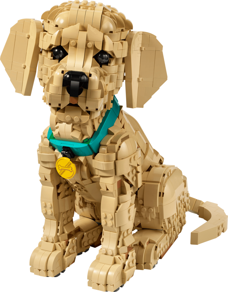LEGO Icons (Creator Expert)  Cățeluș Golden Retriever, copiii varsta  18 + ani [2]