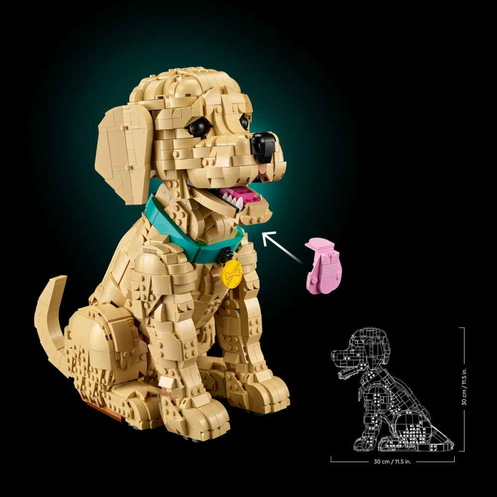 LEGO Icons (Creator Expert)  Cățeluș Golden Retriever, copiii varsta  18 + ani [9]
