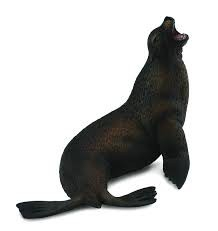Leu de mare- Collecta [1]