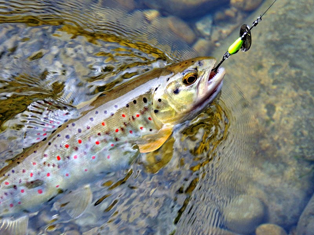 Lingurita rotativa Smith AR-S Spinner Trout 4.5g 14 AR-S Spinner Trout 4.5g 14 [2]