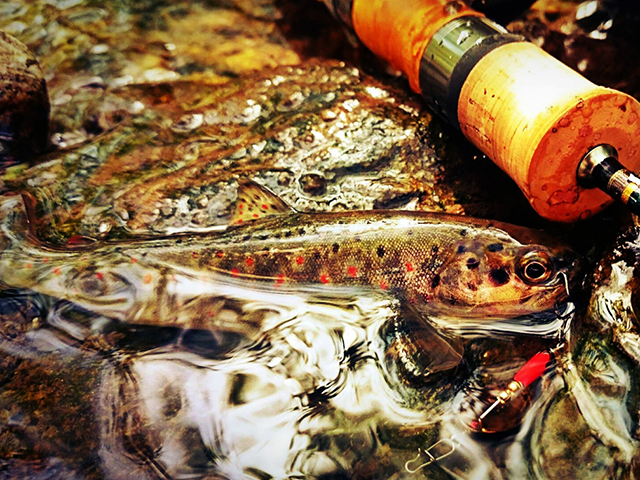 Lingurita rotativa Smith AR-S Spinner Trout 6g 21 AR-S Spinner Trout 6g 21 [2]