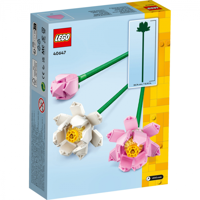 Lotus, varsta de la 8 ani la 12 ani [2]