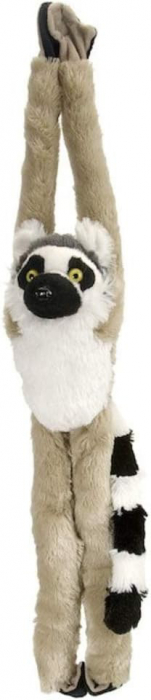 Maimuta care se agata Lemur [1]