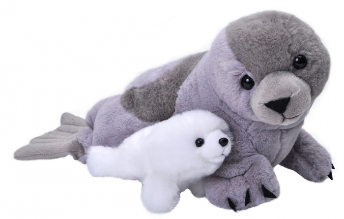 Mama si Puiul - Foca [1]