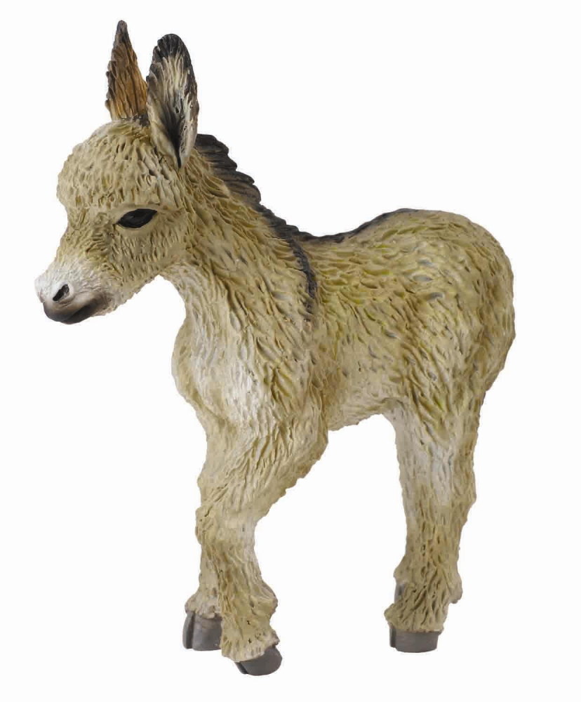 Manz mergand - Collecta [1]