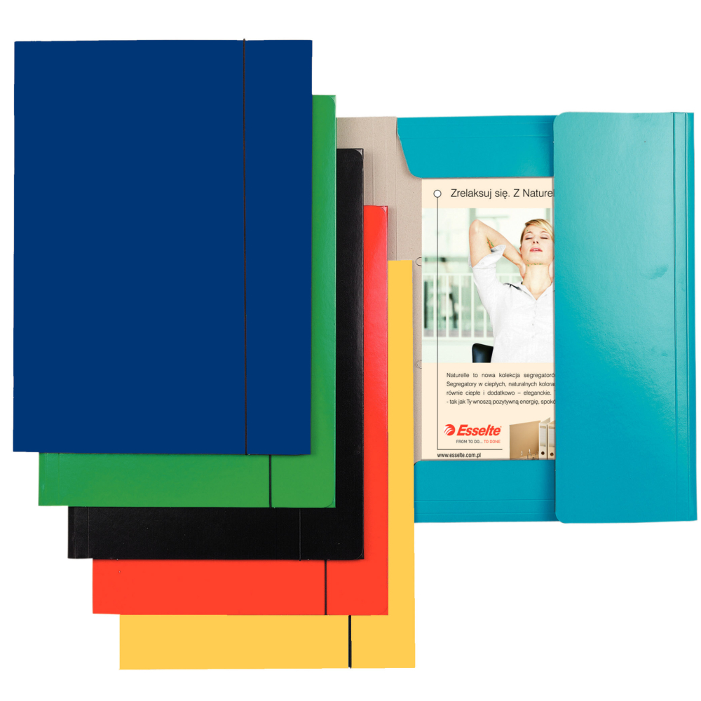 Mapa carton cu elastic albastru deschis economy esselte [2]