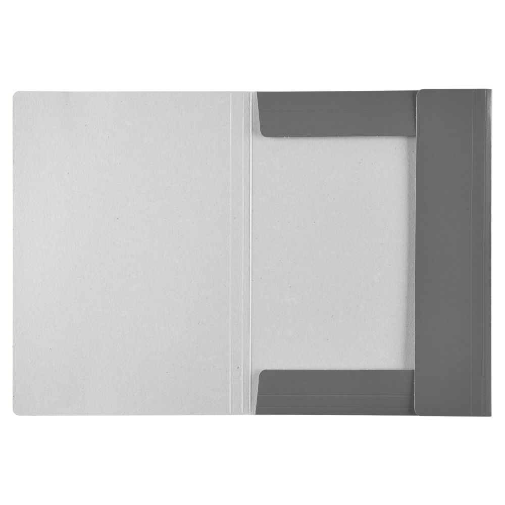Mapa carton cu elastic rosu economy esselte [4]