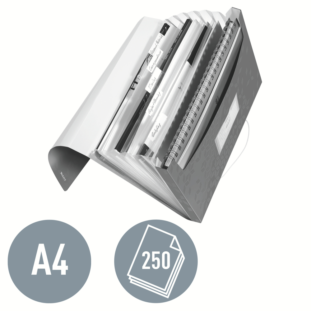 Mapa plastic 6 compartimente rosie tip proiect wow leitz [4]