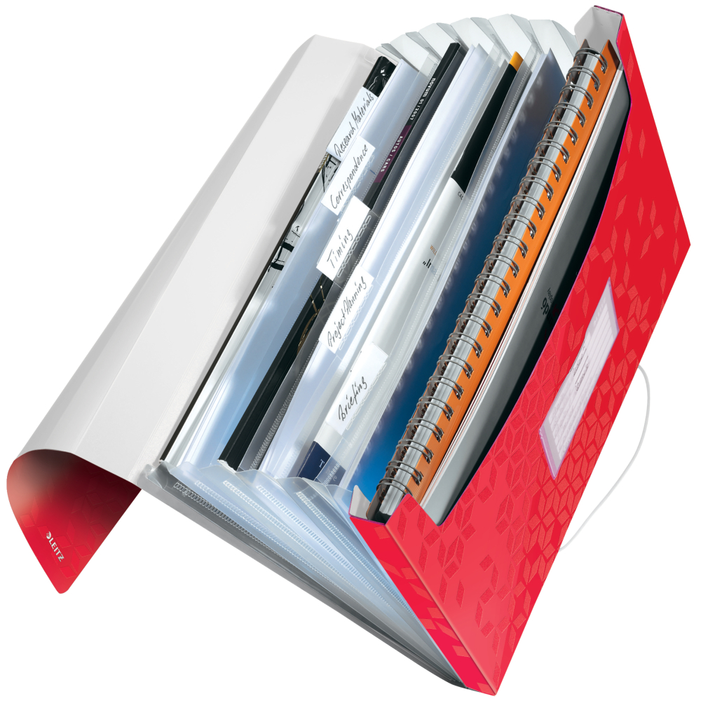 Mapa plastic 6 compartimente rosie tip proiect wow leitz [2]