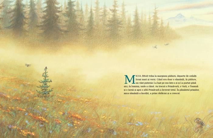 Micul brad de Margaret Wise Brown ilustratii de Jim LaMarche [2]