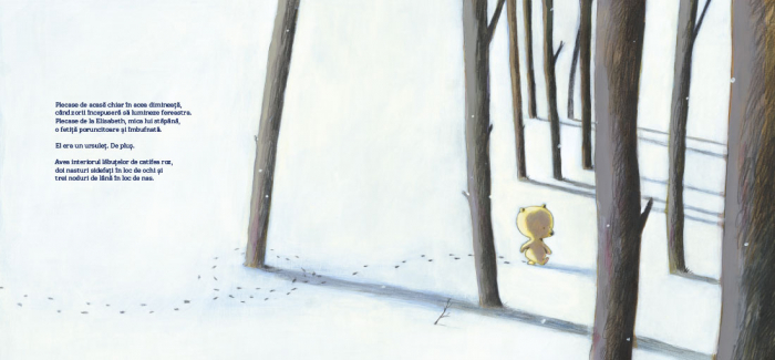 Miska, ursuletul de plus de Marie Colmont, ilustratii de Olivier Tallec [2]