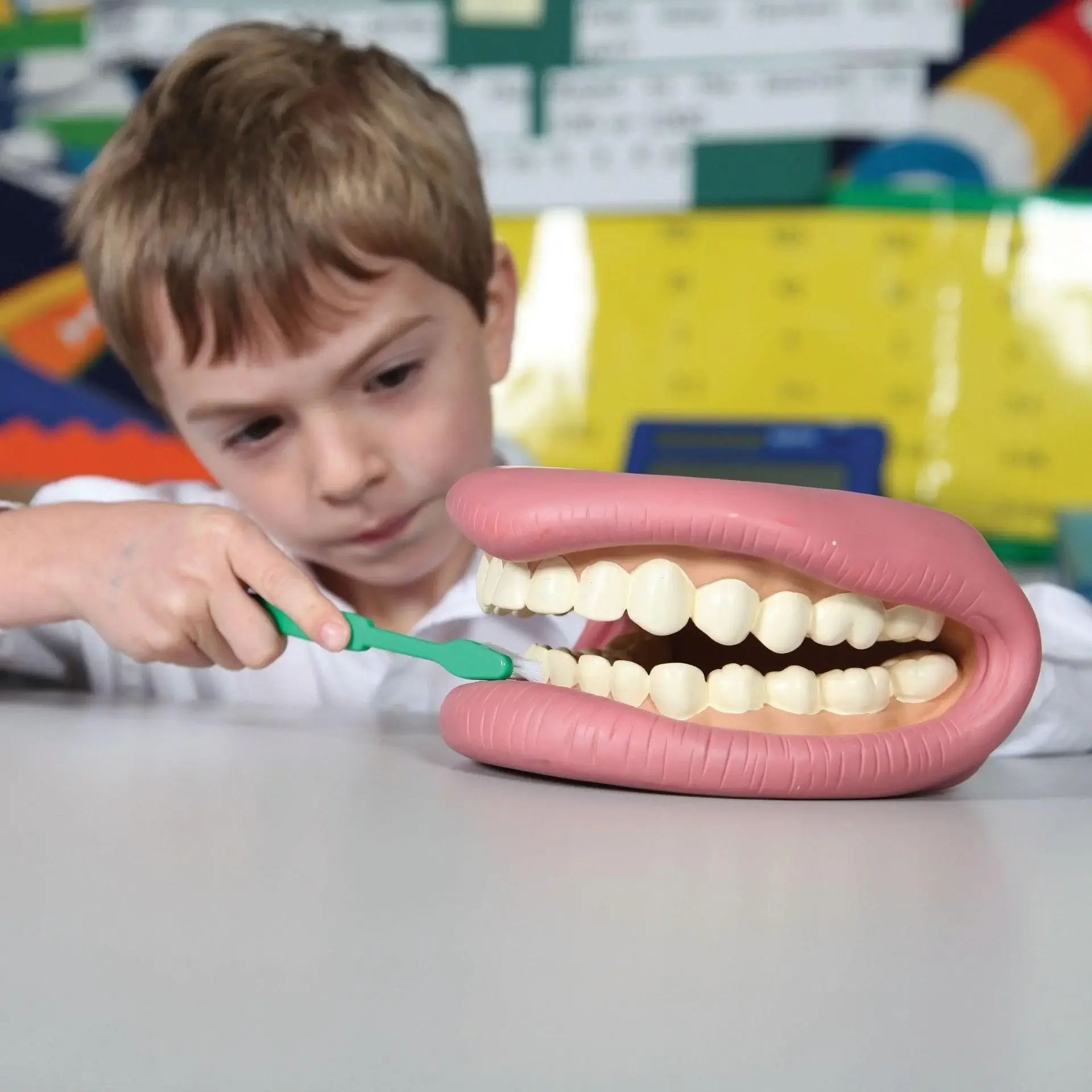 Model urias cu dinti si periuta pentru educatie dentara copii [4]