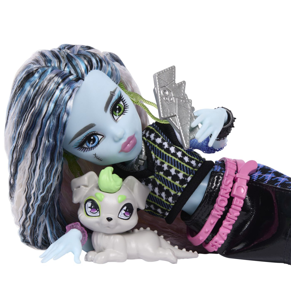 Monster high papusa frankie stein cu accesorii copii varsta 4 ani - 10 ani [10]