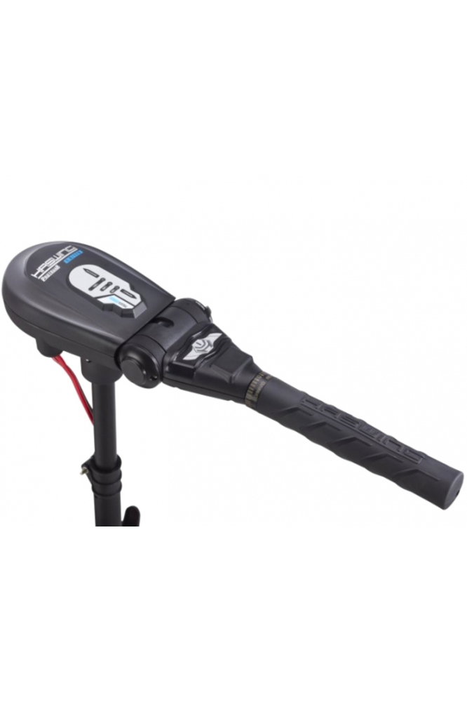 Motor electric Haswing Protruar 1 HP 65lb Brushless Protruar 1 HP 65lb [3]