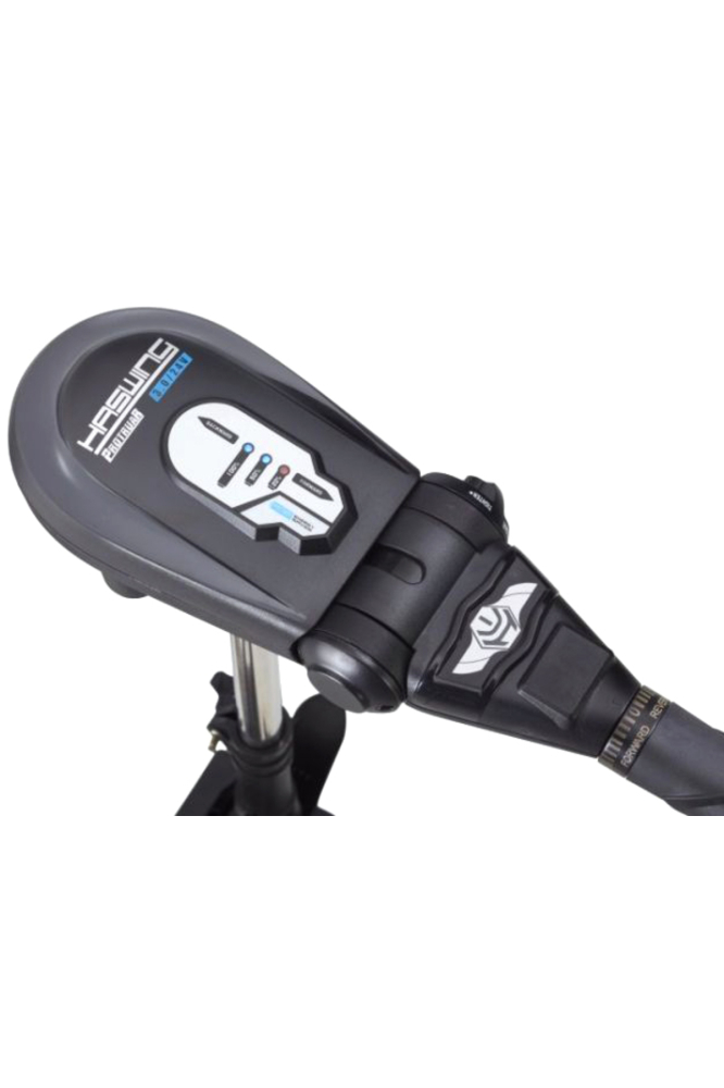 Motor electric Haswing Protruar 3 HP 110lb Brushless Protruar 3 HP 110lb [3]