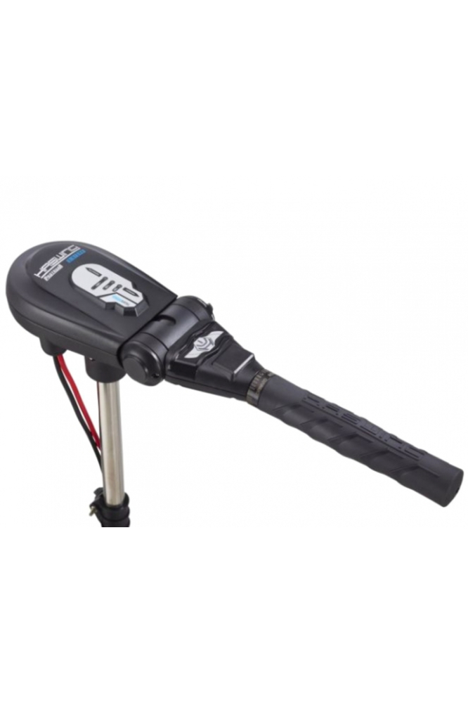 Motor electric Haswing Protruar 3 HP 110lb Brushless Protruar 3 HP 110lb [2]