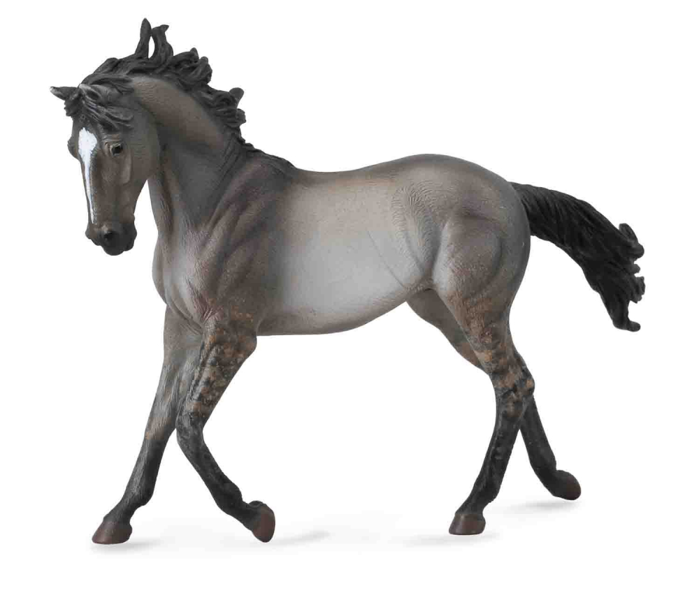 Mustang - Grulla [1]