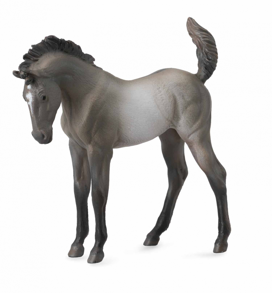 Mustang - Grulla manz [1]