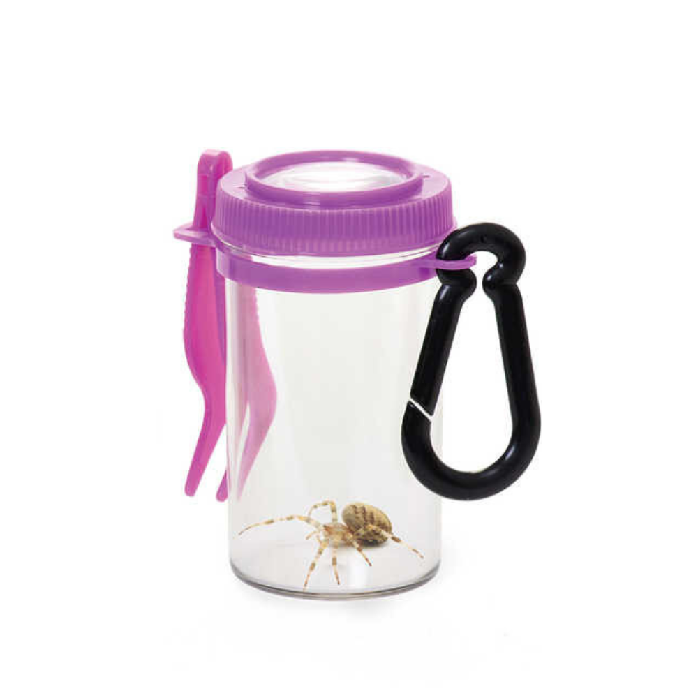 Jucarie de observare a insectelor [1]