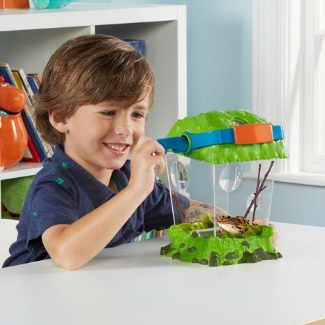 Observator insecte tip habitat - Geosafari [4]