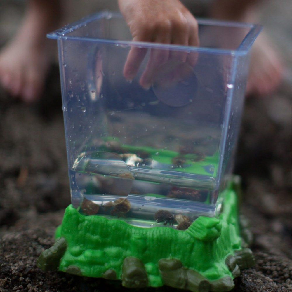 Observator insecte tip habitat - Geosafari [6]