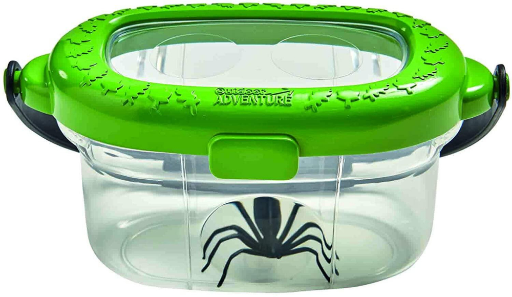 Observatorul pentru insecte [4]