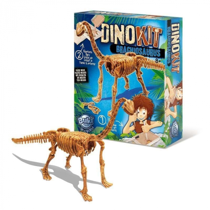 Paleontologie - Dino Kit - Brachiosaurus [2]