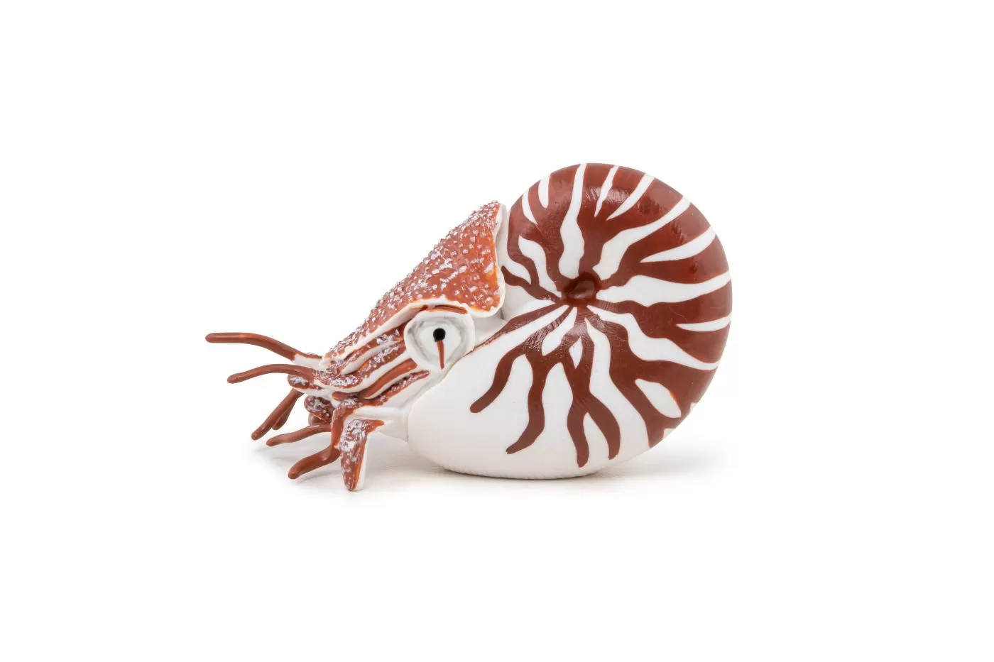 Papo figurina nautilus, varsta de la 3 ani la +15 ani [5]