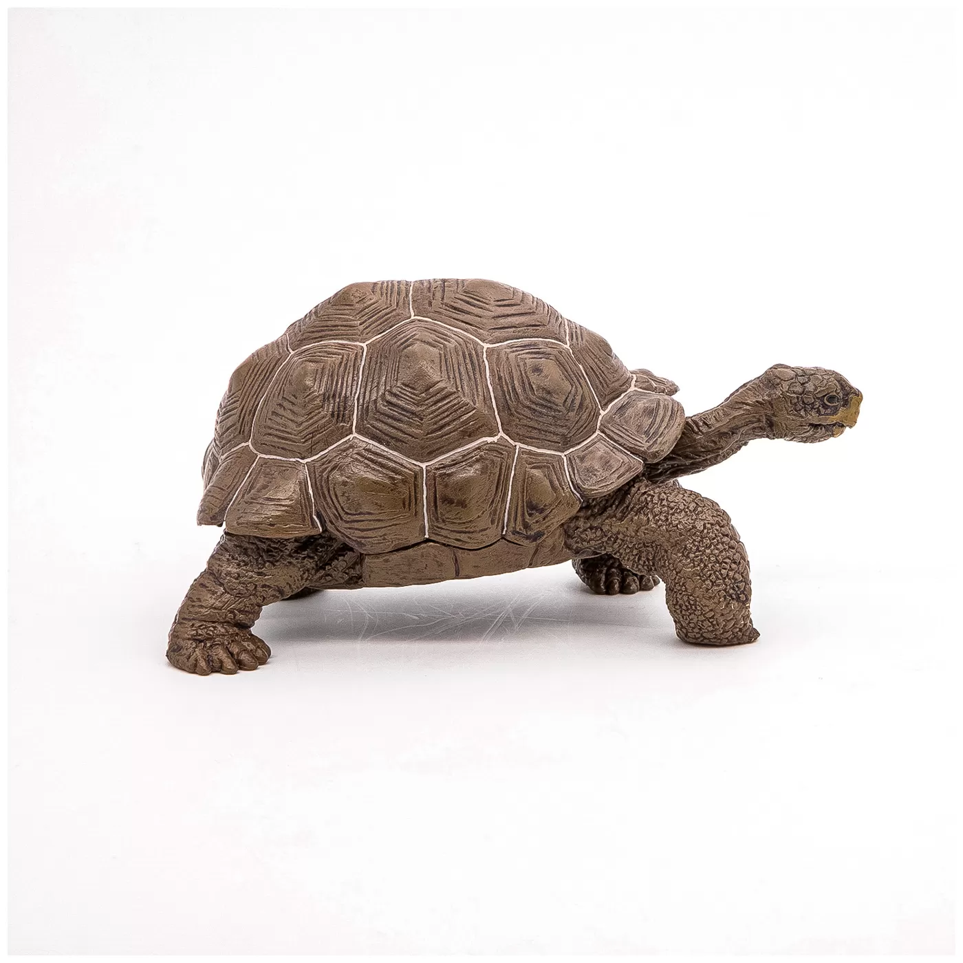 Papo figurina testoasa galapagos, varsta de la 3 ani la +15 ani [2]