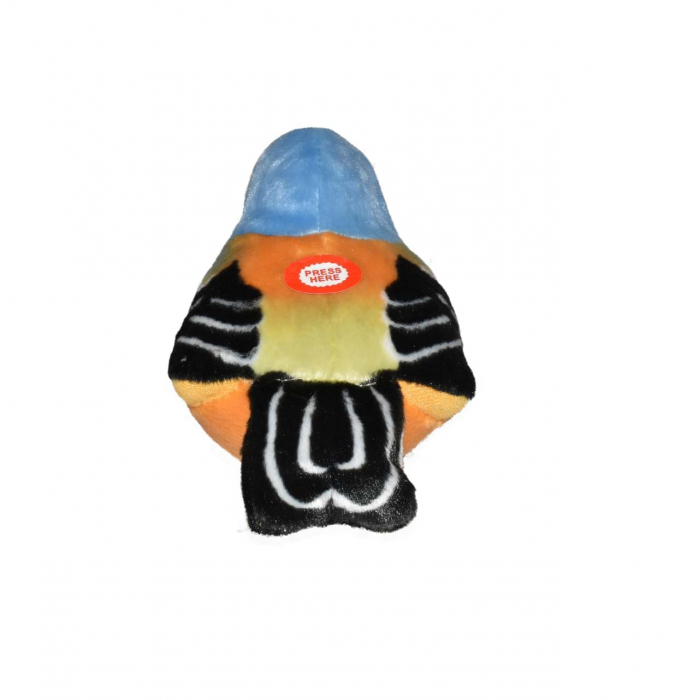 Pasare cu sunet Cinteza - CHAFFINCH [5]