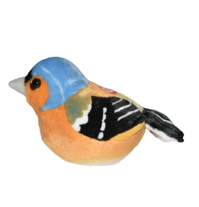 Pasare cu sunet Cinteza - CHAFFINCH [3]
