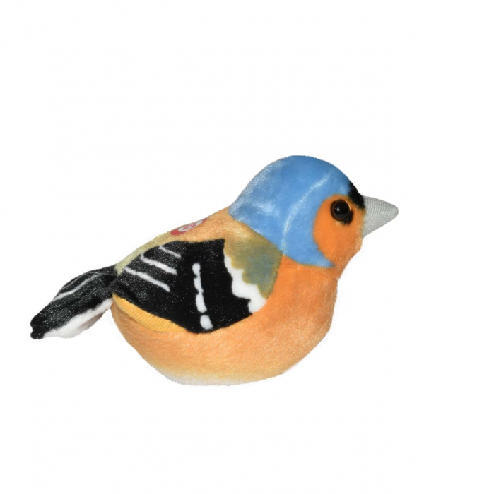 Pasare cu sunet Cinteza - CHAFFINCH [4]