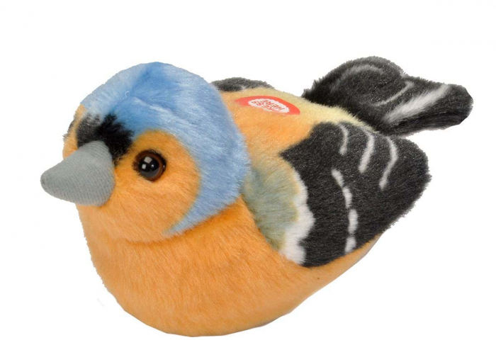 Pasare cu sunet Cinteza - CHAFFINCH [1]