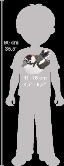 Pasare cu sunet Ciocanitoare Pestrita - GREAT SPOTTED WOODPECKER [6]