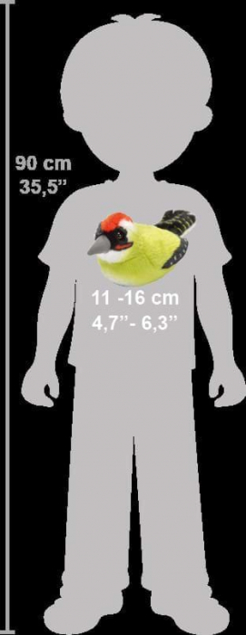 Pasare cu sunet Ciocanitoare Verde - GREEN WOODPECKER [6]