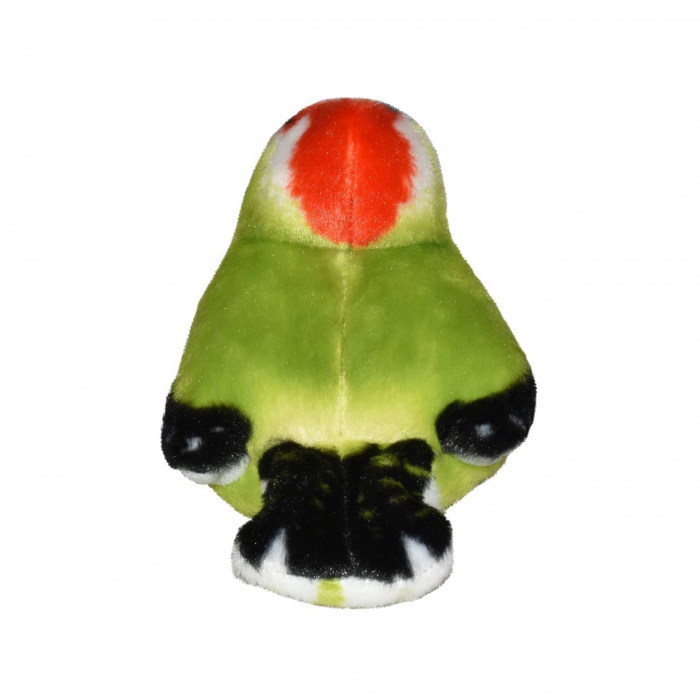 Pasare cu sunet Ciocanitoare Verde - GREEN WOODPECKER [5]