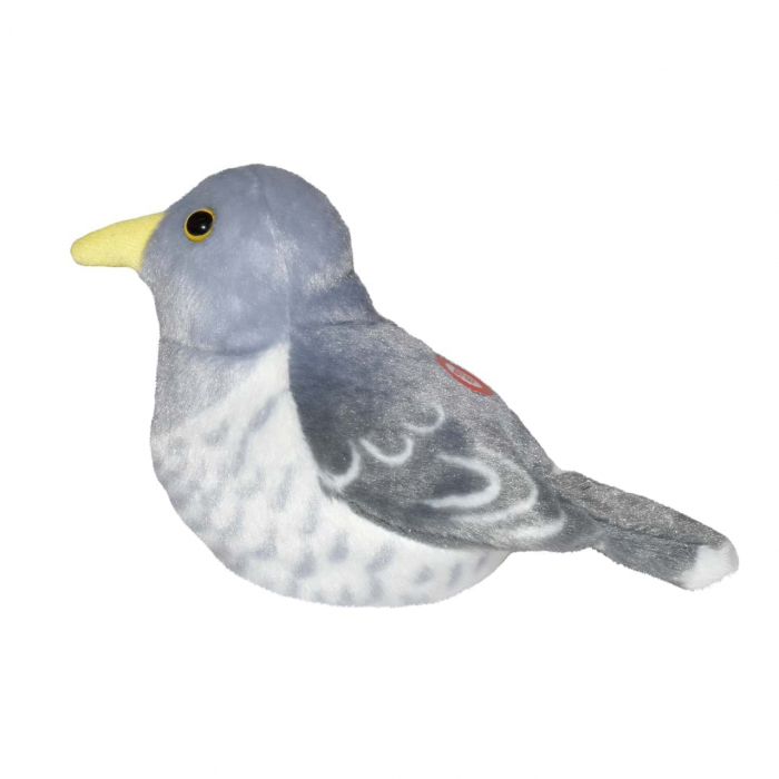 Pasare cu sunet Cuc - COMMON CUCKOO [3]