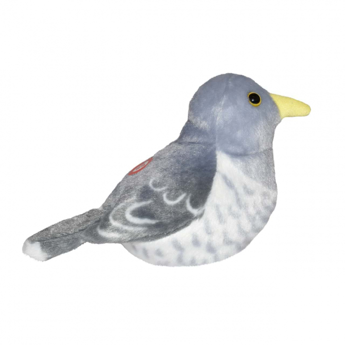 Pasare cu sunet Cuc - COMMON CUCKOO [4]