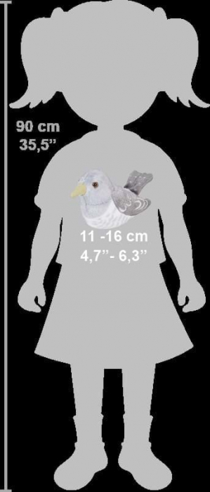 Pasare cu sunet Cuc - COMMON CUCKOO [6]