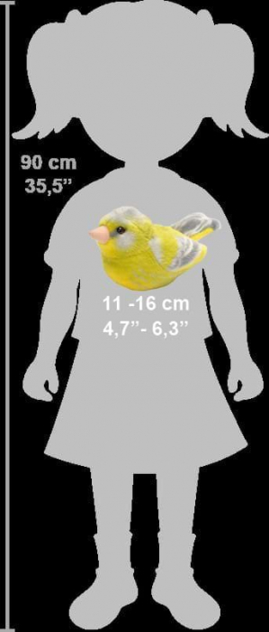 Pasare cu sunet Florinte - GREENFINCH [6]