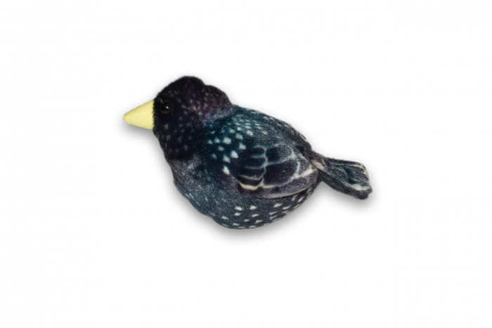 Pasare cu sunet Graur - STARLING [3]