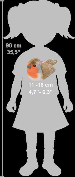 Pasare cu sunet Macaleandru - EUROPEAN ROBIN [6]