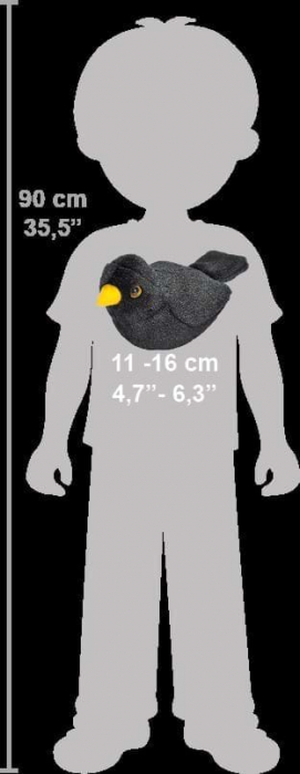 Pasare cu sunet Mierla - EUROPEAN BLACKBIRD [6]