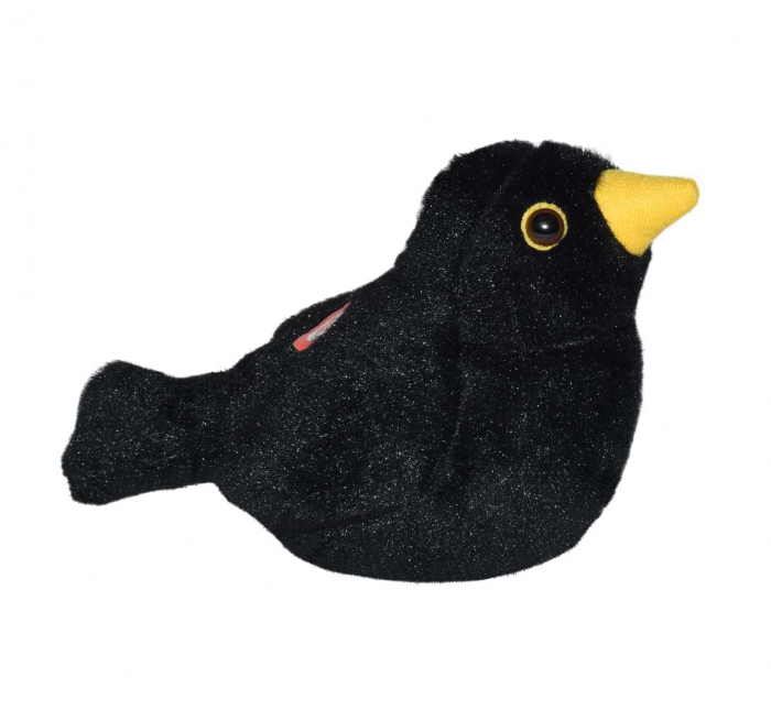 Pasare cu sunet Mierla - EUROPEAN BLACKBIRD [4]