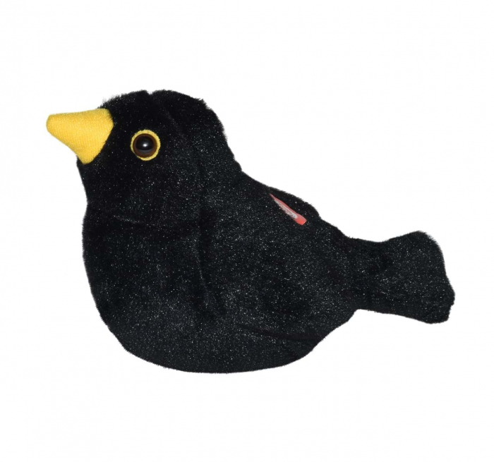 Pasare cu sunet Mierla - EUROPEAN BLACKBIRD [3]