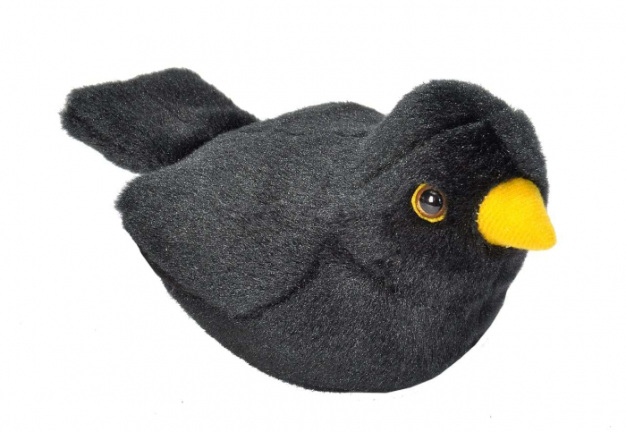 Pasare cu sunet Mierla - EUROPEAN BLACKBIRD [1]
