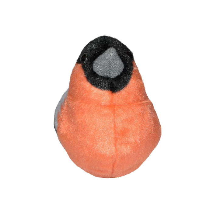 Pasare cu sunet Mugurar - BULLFINCH [2]