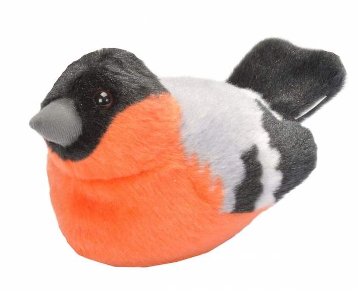 Pasare cu sunet Mugurar - BULLFINCH [1]