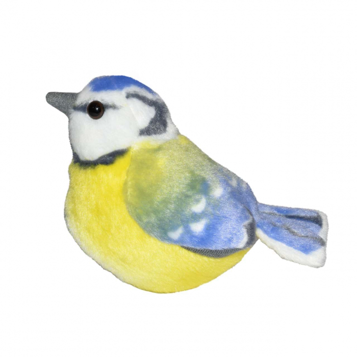 Pasare cu sunet Pitigoi Albastru - BLUE TIT [3]