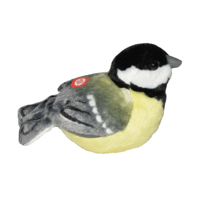 Pasare cu sunet Pitigoi Mare - GREAT TIT [4]